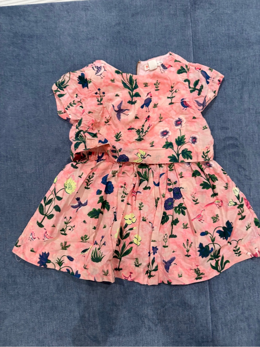 Crewcuts Girls Pink Floral & Bird Print Dress